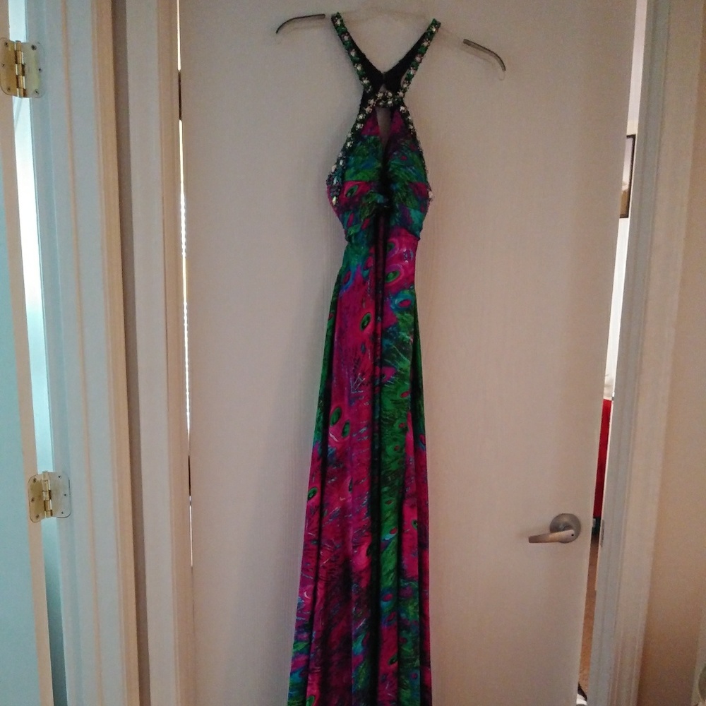 Prom Dress - Picture 3 of 4